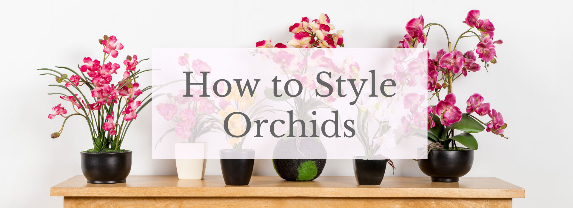 Styling Orchids banner