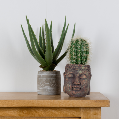 artificial cactus and succulent