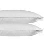 Goose Feather & Down Euro Continental Pillow Pair - 40cm x 80cm (16"x32")