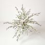 Artificial Blossom Tree with White Silk Flowers - 5 Feet
