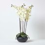 Large Oriental Style Cream Orchids in Black Bowl