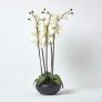 Large Oriental Style Cream Orchids in Black Bowl
