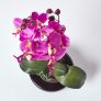 Oriental Style Cerise Orchids in Black Bowl