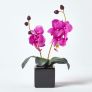 Set of 2 Pink & Cream Artificial Orchids in Black Pots, 35 cm