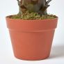 Green 'Century Plant' Artificial Agave Americana with Pot, 60 cm
