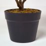 Green 'Rushfoil' Artificial Croton Plant with Pot, 65 cm