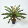 Green 'Sago Palm' Artificial Cycas Plant with Pot, 75 cm