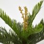 Green 'Sago Palm' Artificial Cycas Plant with Pot, 75 cm