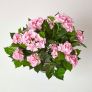 Pink Hydrangea Artificial Plant with Pot, 85 cm
