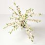 Artificial Blossom Tree with Cream Silk Flowers, 135 cm (4’4")