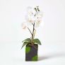 Small White Phalaenopsis Artificial Orchid in Black Pot, 30 cm Tall