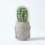Echioncactus Artificial Cactus in Decorative Buddha Head Stone Pot, 24 cm Tall