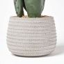 Large Artificial Cactus in Stone Pot, 78 cm Tall 