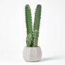 Echinopsis Peruviana Artificial Cactus In Decorative Textured Stone Pot, 50 cm Tall