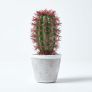 Denmoza Artificial Cactus with Flowers in Patterned Pot, 25 cm Tall