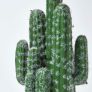 Saguaro Artificial Cactus in Geometric Stone Pot, 51 cm Tall