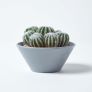 Artificial Barrel Cactus Arrangement in Round Grey Pot, 17 cm Tall