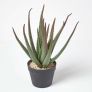 Large Aloe Vera Artificial Succulent in Black Pot