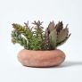 Artificial Succulent Arrangement in Decorative Round Terracotta Pot, 15cm Tall