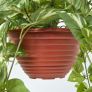 Artificial Ivy Hanging Basket, 100 cm