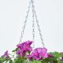 Purple Petunia Hanging Basket, 80 cm