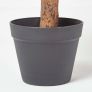 Peach Artificial Peony Tree in Black Pot, 100 cm Tall