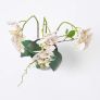 White Orchid 56 cm Phalaenopsis in Ceramic Pot