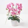 Pink Orchid 54 cm Phalaenopsis in Ceramic Pot Extra Large, 5 Stems