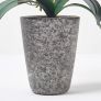 White Orchid 46 cm Phalaenopsis in Cement Pot