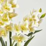 White Orchid 82 cm Cymbidium in Cement Pot Extra Large, 3 Stems
