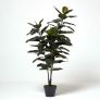 Artificial Ficus Rubber Plant in Pot, 130 cm Tall