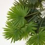 Green Fan Palm Leaf Single Stem 68cm