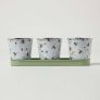Set of 3 Green and White Indoor Plant Pots with Floral Bee Design