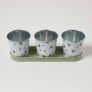 Set of 3 Green and White Indoor Plant Pots with Floral Bee Design