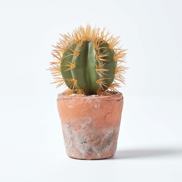 Small Round Artificial Cactus in Terracotta Pot, 15cm Tall