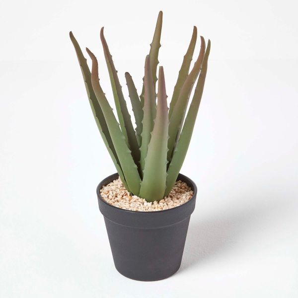 Aloe Vera Artificial Succulent in Black Pot, 30 cm Tall