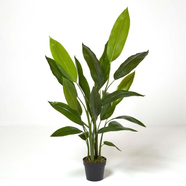 Heliconia Plant in Pot, 140 cm Tall