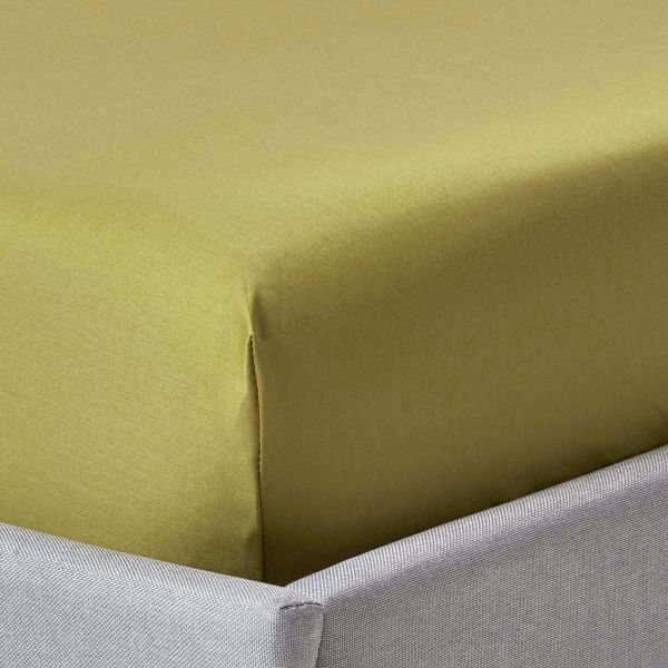 Olive Green Egyptian Cotton Fitted Sheet 1000 Thread Count, Single 
