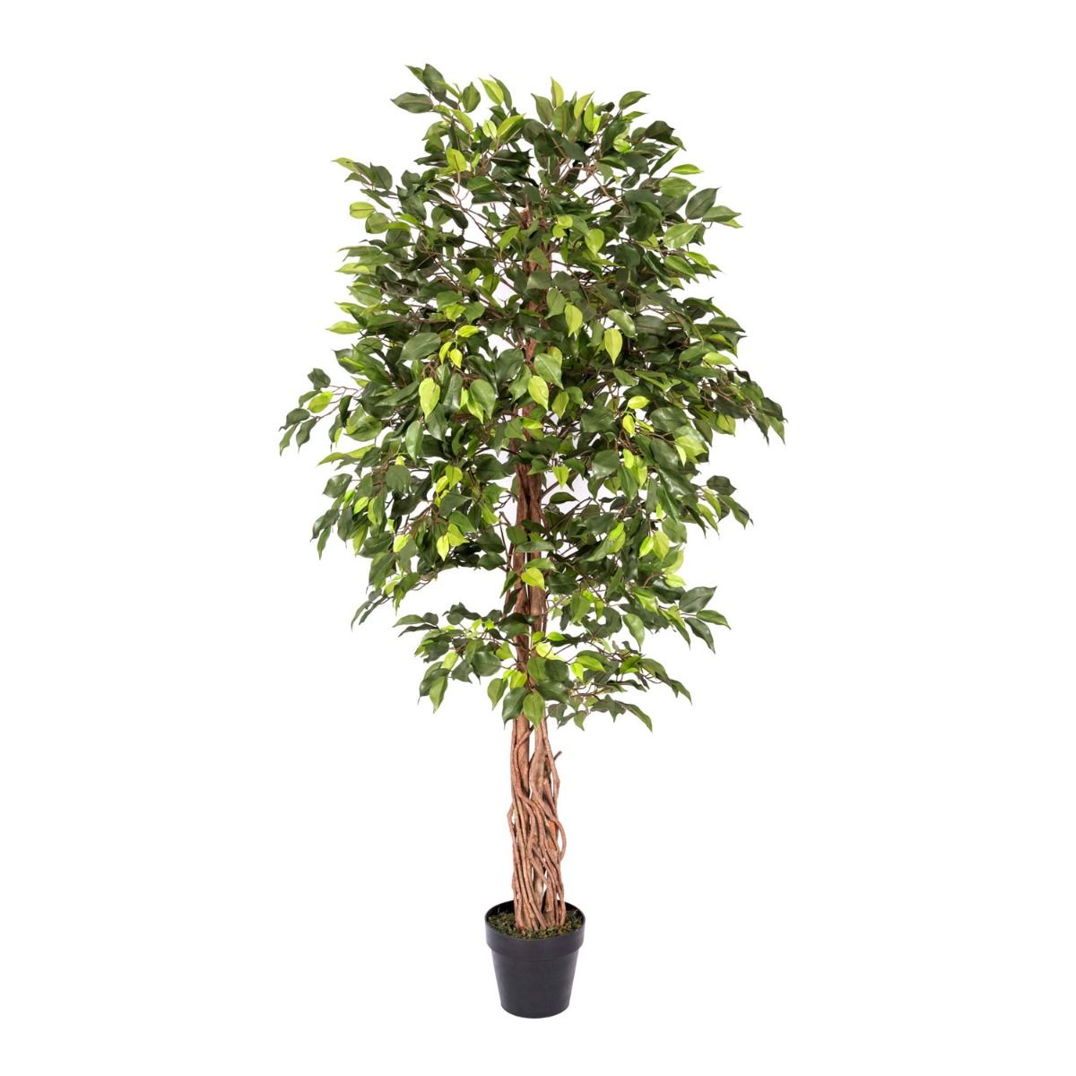 Homescapes Cerise Pink 5 Feet Blossom Tree Real Wood Stems and Lifelike Leaves Replica Artificial Plant