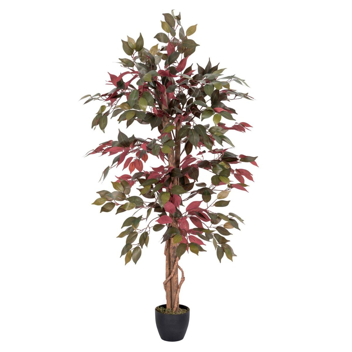 Homescapes Plante Artificielle Capensia Rouge /& Vert Hauteur 122 cm