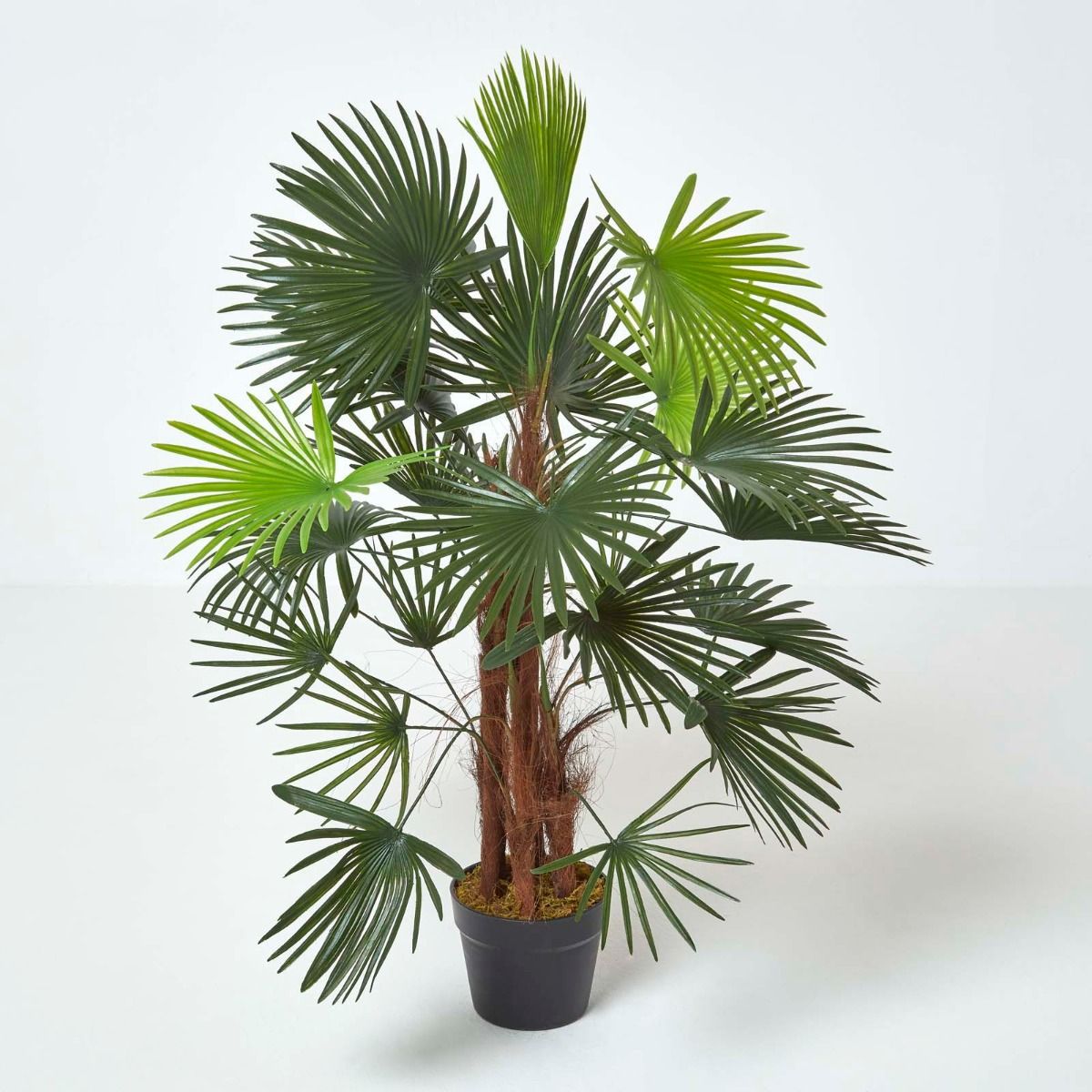 Palmier bambou vert Lady Palm en pot, 90 cm