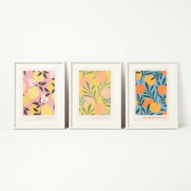 Set of 3 Colourful Summer Fruits Framed Print Wall Art