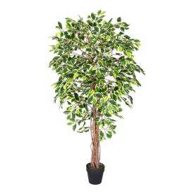 Artificial Variated Ficus Tree Replica Plant- 6 Feet