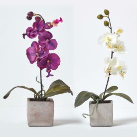 Set of 2 Cerise Pink & White Artificial Orchids in Pots, 40 cm