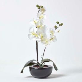 Oriental Style Cream Orchids in Black Bowl