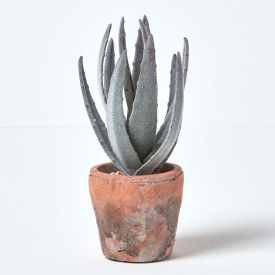 Aloe Vera Artificial Succulent in Decorative Rustic Terracotta Pot, 21 cm Tall