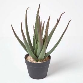 Large Aloe Vera Artificial Succulent in Black Pot, 45 cm Tall