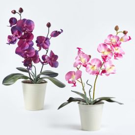 Set of 2 Purple & Pink Phalaenopsis Orchids in White Pot, 38 cm