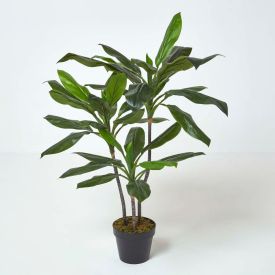 Artificial Cordyline Plant in Pot, 100 cm Tall