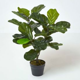 Artificial Fiddle Leaf Fig Tree in Pot, 70 cm Tall